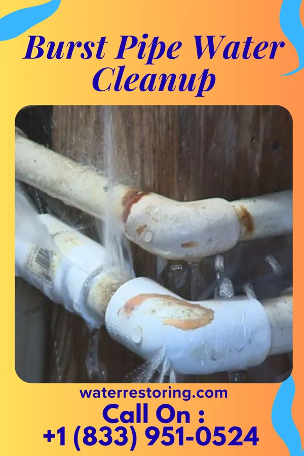 Burst Pipe Water Cleanup in Fobes Hill, WA