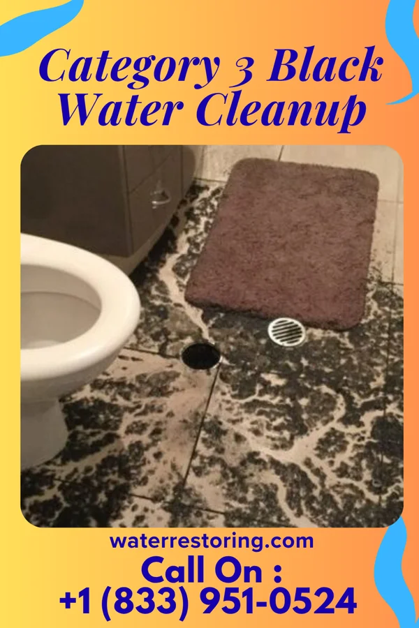 Category 3 Black Water Cleanup in Fobes Hill, WA