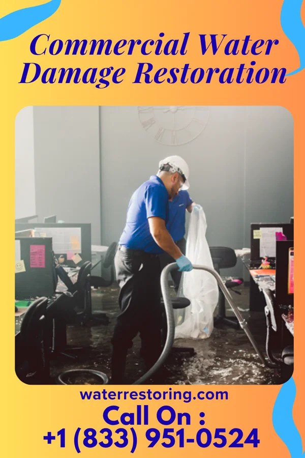 Commercial Water Damage Restoration in Fobes Hill, WA