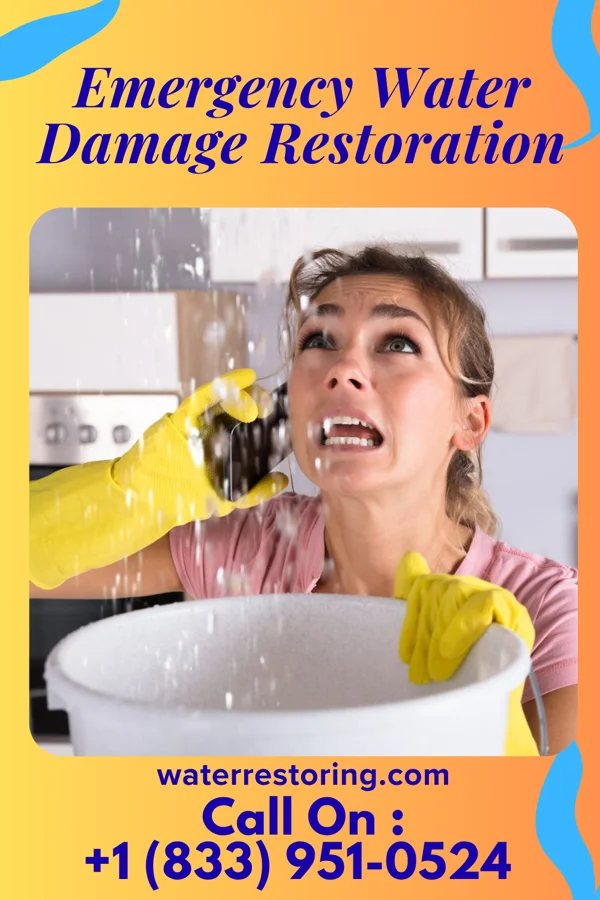 Emergency Water Damage Restoration in Fobes Hill, WA