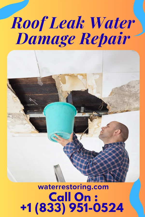 Roof Leak Water Damage Repair in Fobes Hill, WA