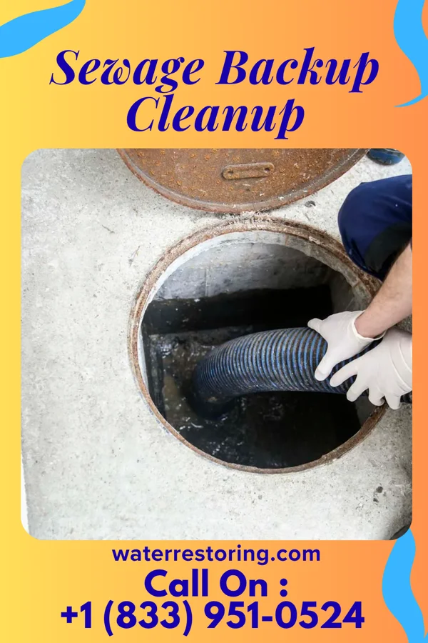 Sewage Backup Cleanup in Fobes Hill, WA