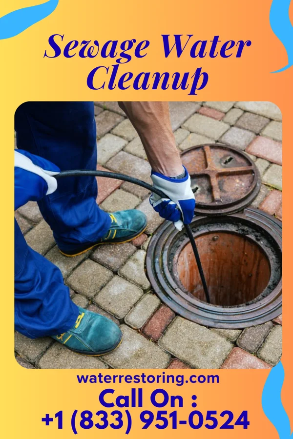 Sewage Water Cleanup in Fobes Hill, WA
