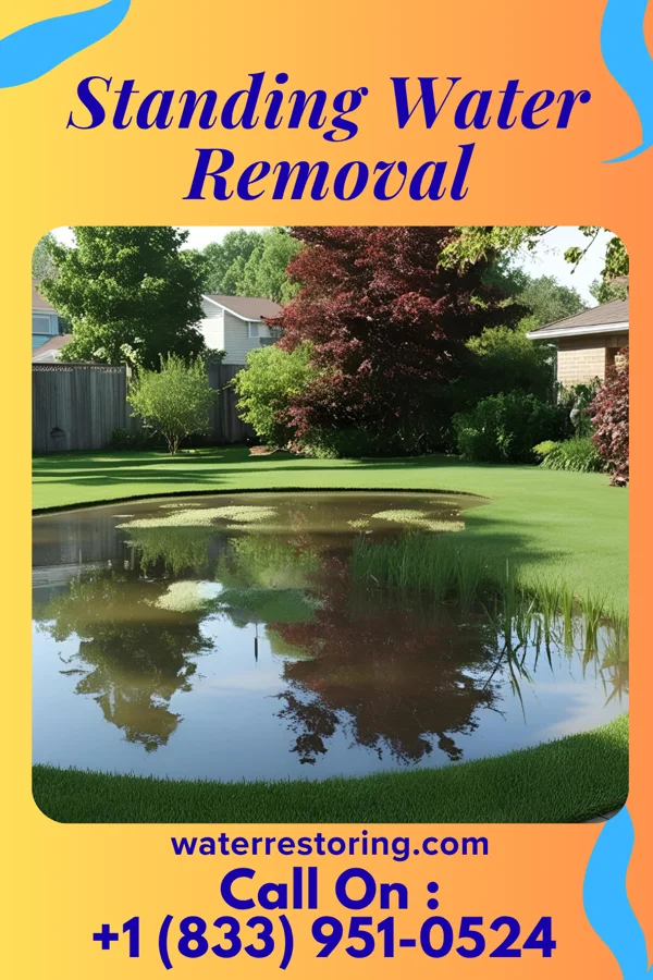 Standing Water Removal in Fobes Hill, WA